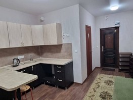Продается 1-комнатная квартира Чайкиной ул, 28.2  м², 6000000 рублей