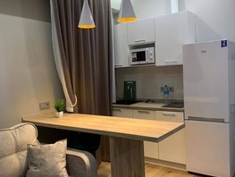Продается 1-комнатная квартира Турчинского ул, 25  м², 16000000 рублей