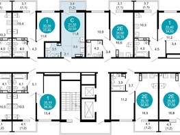 Продается 1-комнатная квартира ЖК Лестория, дом 2, 22.5  м², 13842000 рублей