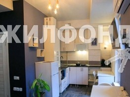 Продается 1-комнатная квартира Березовая ул, 23.5  м², 11700000 рублей