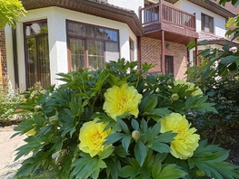 Продается Дом Лазурная ул, 409 м², участок 6 сот., 42000000 рублей