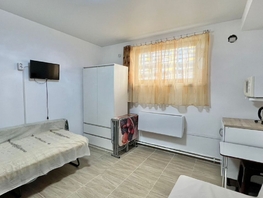 Продается Студия Адмирала Пустошкина ул, 20  м², 2250000 рублей