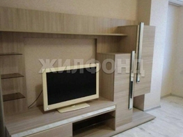 Продается Студия Лысая гора ул, 26  м², 7000000 рублей