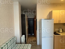 Продается Студия Лысая гора ул, 24 м², 5575000 рублей