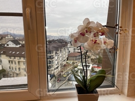 Продается Студия Целинная ул, 53.2  м², 15000000 рублей