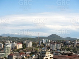 Продается 2-комнатная квартира Виноградная ул, 84  м², 47500000 рублей