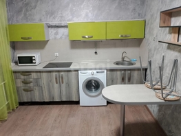 Продается 1-комнатная квартира Черкасская ул, 30.1  м&sup2;, 5100000 рублей