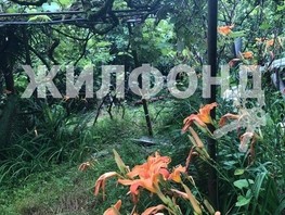 Продается Дом Каштановая ул, 42  м², участок 6 сот., 9800000 рублей