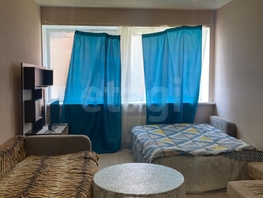 Продается Студия Кулакова пр-кт, 23.7  м&sup2;, 3400000 рублей